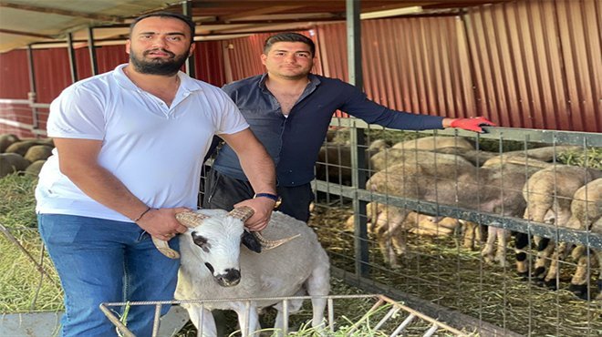 Kredi kartıyla eve teslim kurban hizmeti Bahçıvan Çiftliği’nde
