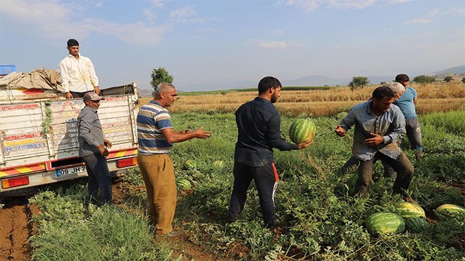 Küçük Menderes’in En Kaliteli Karpuzu Bayındır-Pınarlı’da