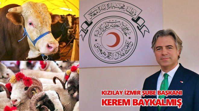 'KURBAN BAĞIŞLARININ BEREKETİNİ BİR YILA YAYIYORUZ’