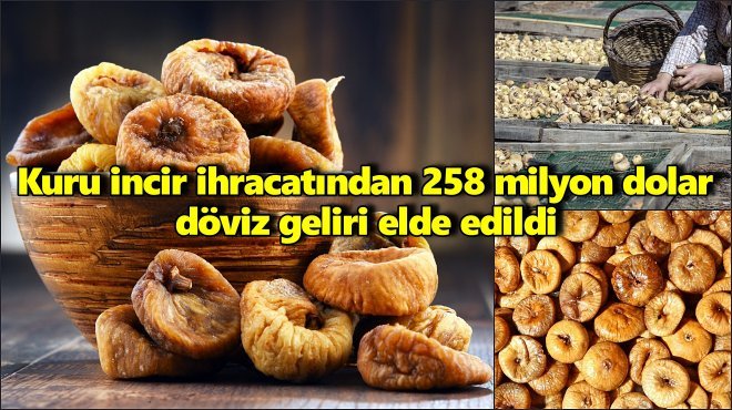 KURU İNCİRDE AVRUPA PAZARI GÜCÜNÜ KORUYOR