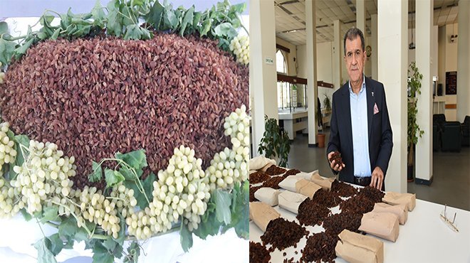 Kuru üzüm ihracatçıları TMO ile güçbirliğinin devamını istiyor