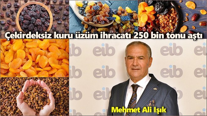 KURU ÜZÜM İHRACATI 441 MİLYON DOLAR KAZANDIRDI