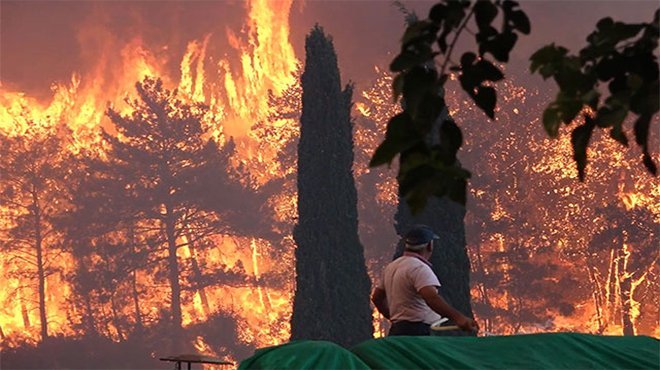 Manavgat'ta 4 noktada orman yangını