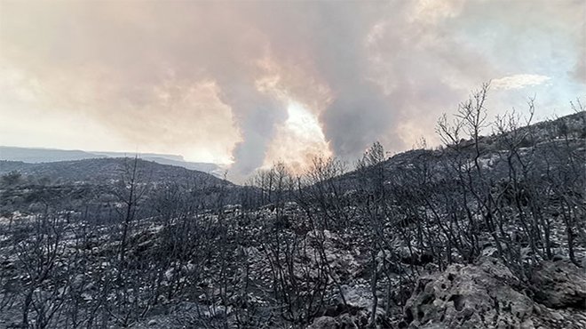 Manavgat yangınıyla ilgili 1 tutuklama
