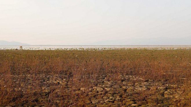 Manisa’daki Marmara Gölü’ne hemen su verilmeli!..