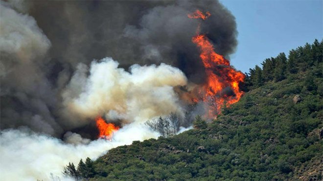Marmaris'te orman yangını