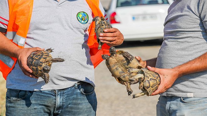 Menemen Doğaköy’de yangın çıktı