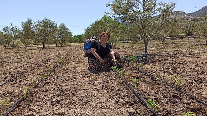 Milletin Efendileri”nden toprağa 19 bin fide