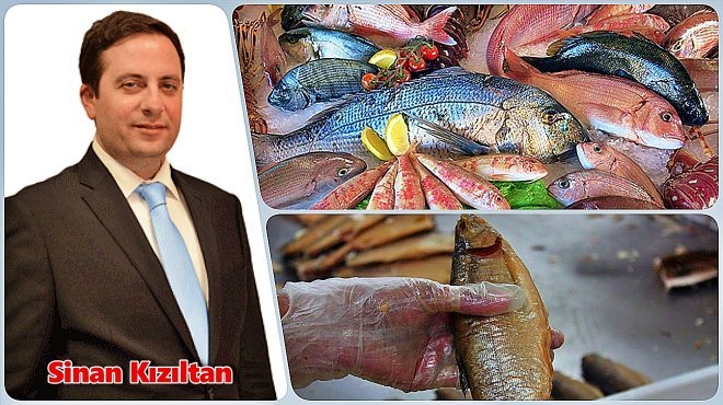 MUĞLA VE İZMİR SU ÜRÜNLERİ İHRACATININ ZİRVESİNDE