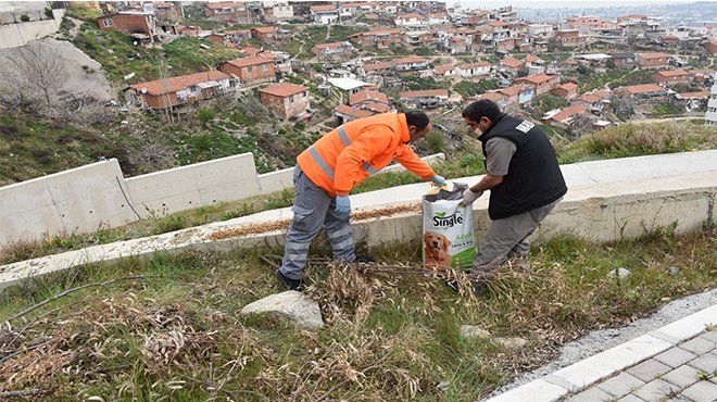 Narlıdere’de can dostlar unutulmadı!