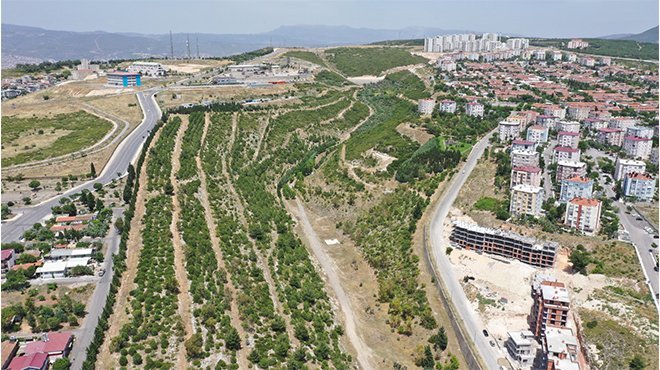  Ödüllü proje Portakal Vadisi’nde çalışmalar başladı