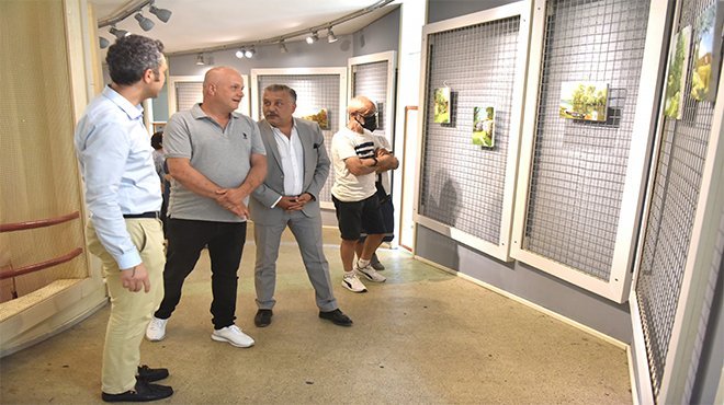 Sanatçının dostu Bornova