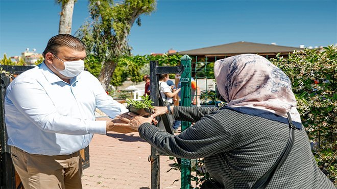  Seferihisar Belediyesi’nden yerel tohumdan 100 bin fide