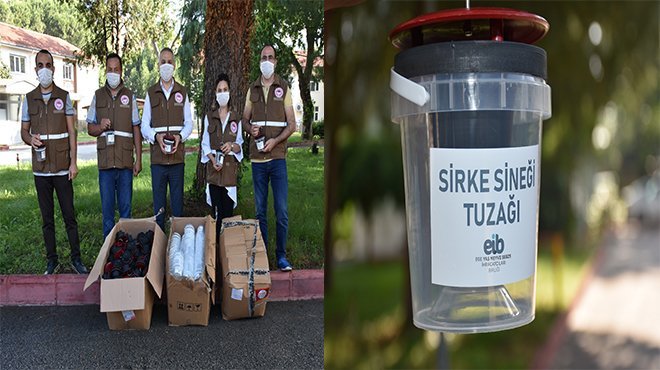 Sirke sineğine tuzaklı önlem