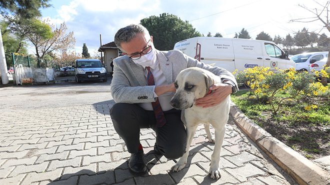 Sokağa çıkma kısıtlamalarında can dostlar unutulmuyor