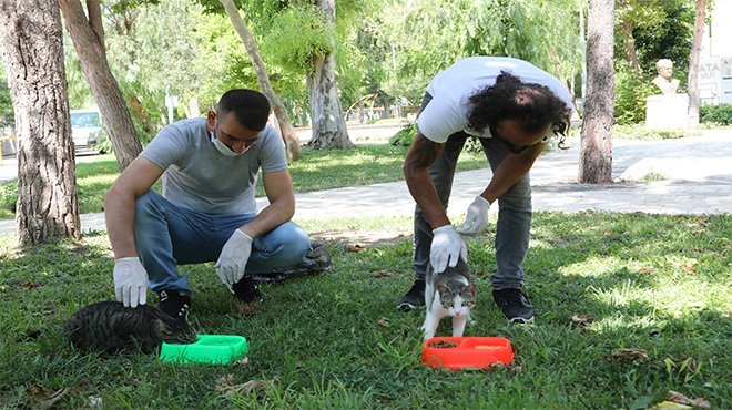 Sokak hayvanları için bir kap su kampanyası