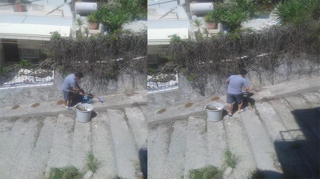 Sokak hayvanlarının mamalarını süpüren vatandaşa ceza!