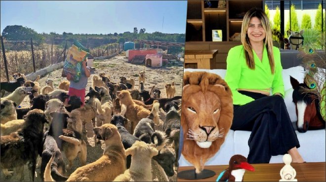 Sözünü tuttu, sergi gelirini can dostlara bağışladı