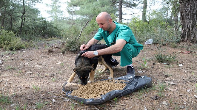 Tam Kapanmada Can Dostlar Unutulmadı