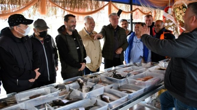Taze balık mezattan sofraya