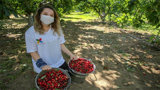 Üreticinin ürünü dalında kalmayacak
