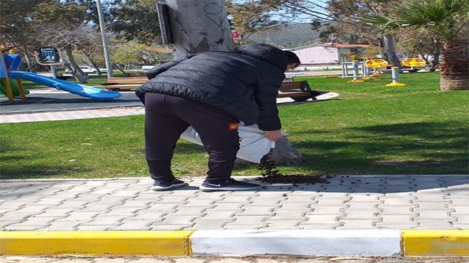 Urla Belediyesi sokak hayvanlarını unutmadı 