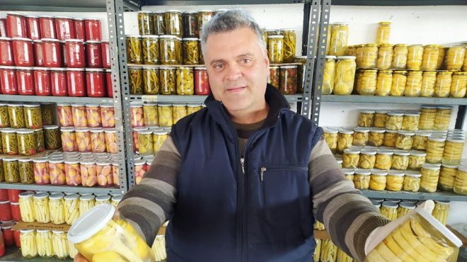 Urla’dan Dubai ve İngiltere’ye Enginar Gönderiyor