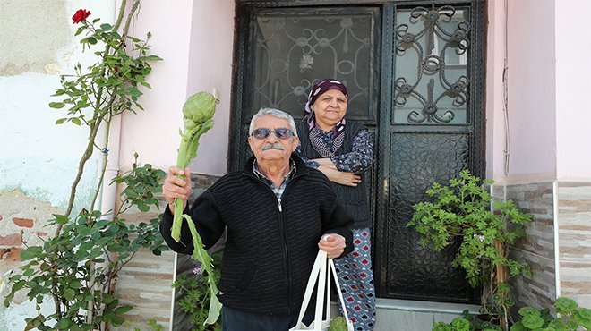 Urla Enginarı hem şifa hem moral oldu