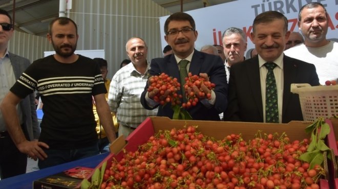 Yılın ilk kirazı 700 TL’den alıcı buldu
