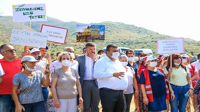 Zeytinime Dokunma