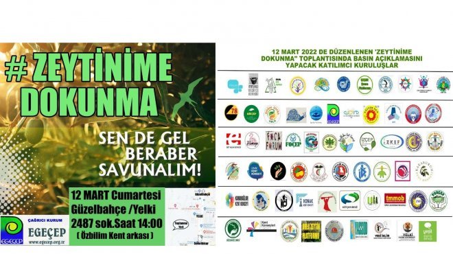 'Zeytinler katledilmesin!' diye Yelki'de buluşuyorlar...