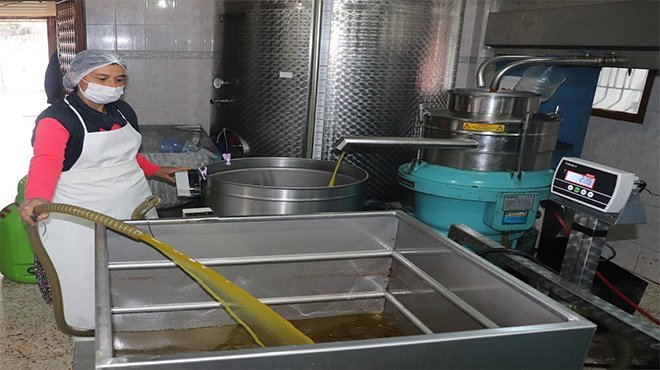 Zeytinyağını kadınlar üretiyor, tadına doyulmuyor