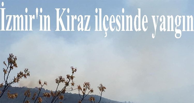 İzmir'in Kiraz ilçesinde yangın
