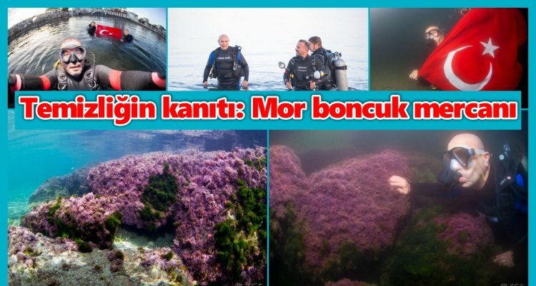 İZMİR KÖRFEZİ’NE TÜPLE DALIŞ YAPAN BAŞKAN SOYER, MOR BONCUK MERCANIYLA KARŞILAŞTI...