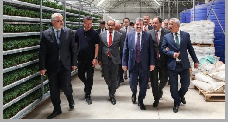 İZMİR, SAMSUN’A MEYVE SEBZE SEKTÖRÜNDE ÜRETİM VE İHRACAT KOÇLUĞU YAPACAK...