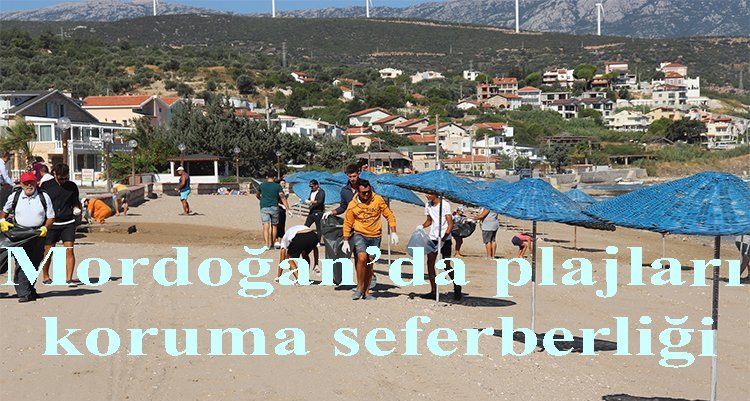 Mordoğan’da plajları  koruma seferberliği