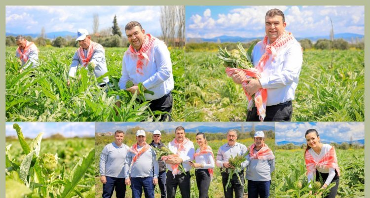 SEFERİHİSAR'DA ENGİNAR ZAMANI
