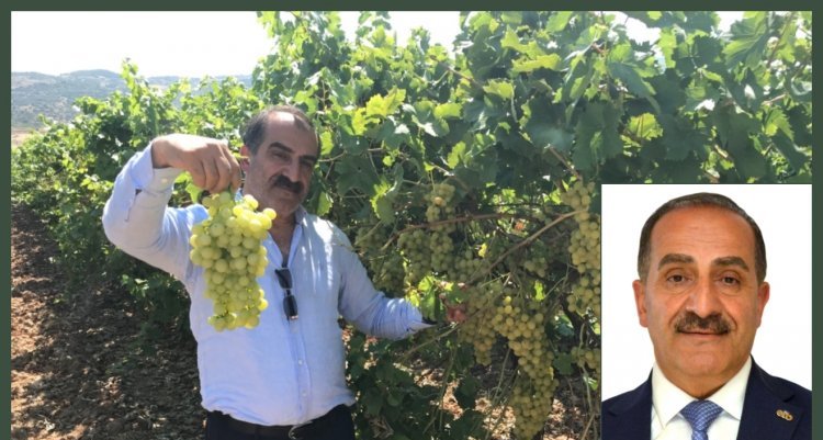 SUPERİOR SEEDLESS ÇEŞİDİ SOFRALIK ÜZÜMÜN İHRACAT YOLCULUĞU BAŞLADI