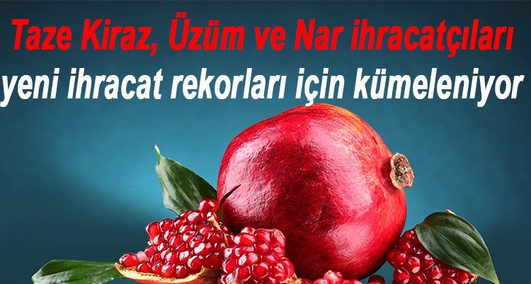 Taze Kiraz, Üzüm ve Nar ihracatçıları yeni ihracat rekorları için kümeleniyor