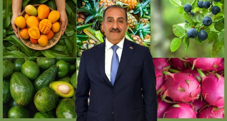 TROPİKAL MEYVE İHRACATINDA HEDEF 25 MİLYON DOLAR...