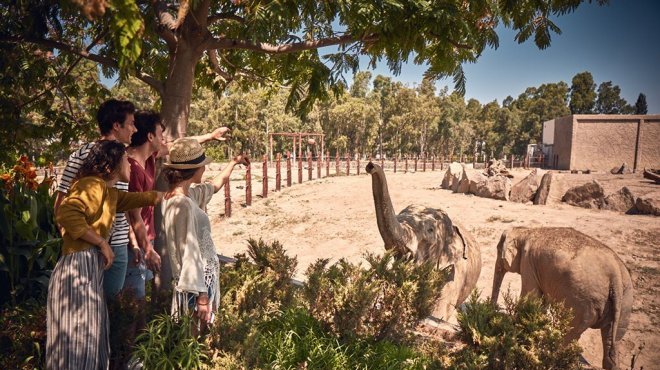 Doğal Yaşam Parkı'na Ziyaretçi Akını Sürüyor